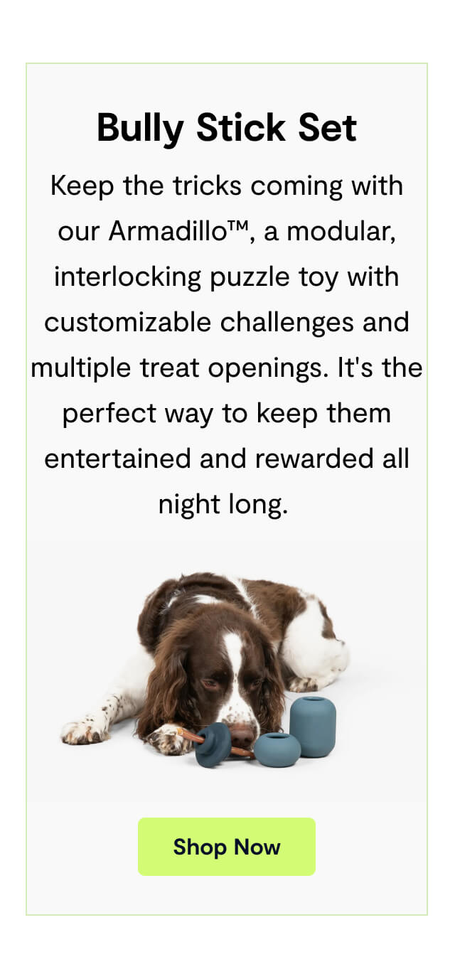 Bully Stick Set. Keep the tricks coming with our Armadillo&trade;, a modular, interlocking puzzle toy with customizable challenges and multiple treat openings. It's the perfect way to keep them entertained and rewarded all night long. Shop Now