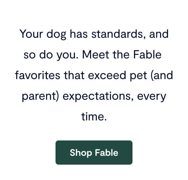 Your dog has standards, and so do you. Meet the Fable&nbsp;favorites that exceed pet (and parent) expectations, every time. Shop Fable