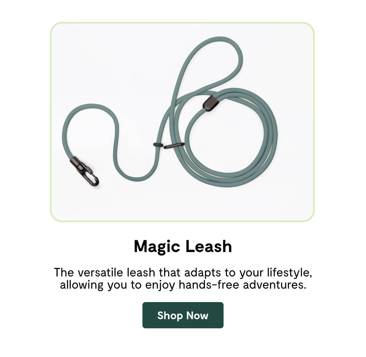 Magic Leash