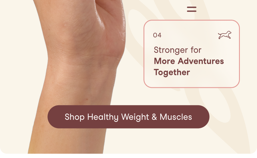 A clinically studied metabolite that supports muscle protein synthesis, an important part of maintaining lean muscle mass.