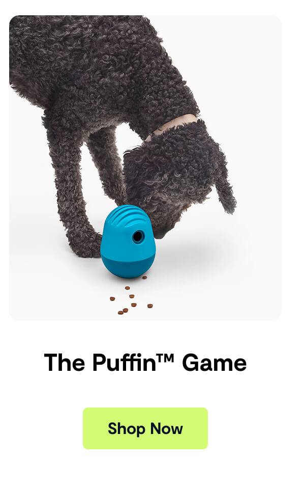 The Puffin&trade; Game
