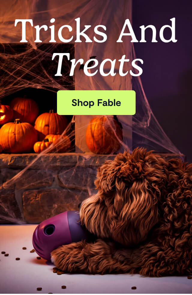 Tricks and Treats. Shop Fable