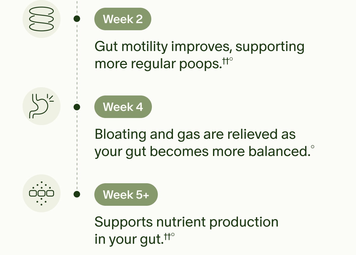 Week 2 | Gut motility improves, supporting more regular poops.&dagger;&dagger;&deg; | Week 4 | Bloating and gas are relieved as your gut becomes more balanced.&deg; | Week 5+ | Supports nutrient production in your gut.&dagger;&dagger;&deg;