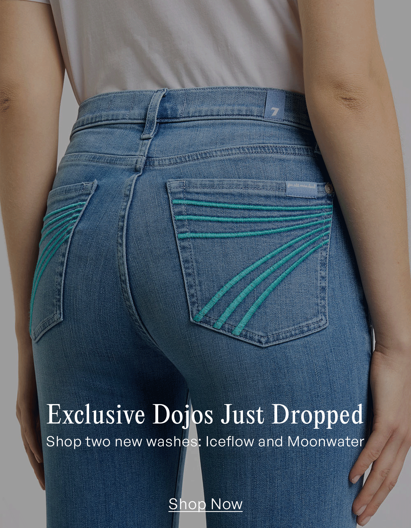 Shop Exclusive Dojos
