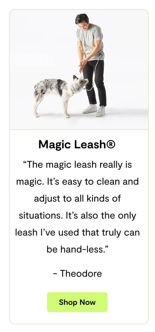 Magic Leash&reg;. &ldquo;The magic leash really is magic. It&rsquo;s easy to clean and adjust to all kinds of situations. It&rsquo;s also the only leash I&rsquo;ve used that truly can be hand-less.&rdquo; - Theodore. Shop Now