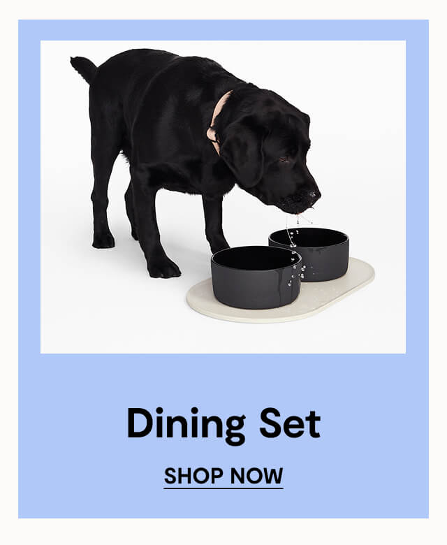 Dining Set. Shop Now