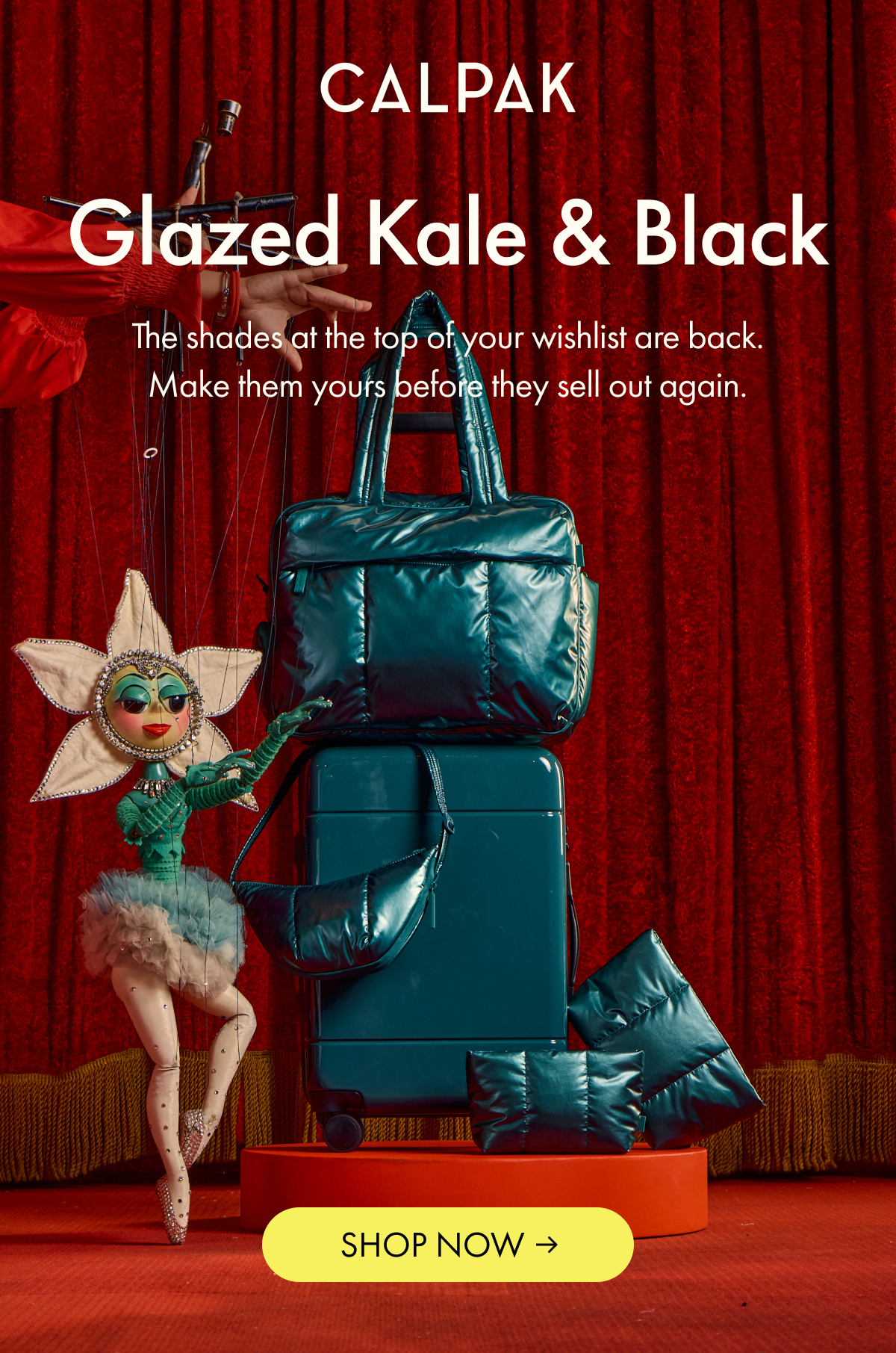 CALPAK | Glazed Kale & Black | Shop the shades at the top of your wishlist before they sell out.