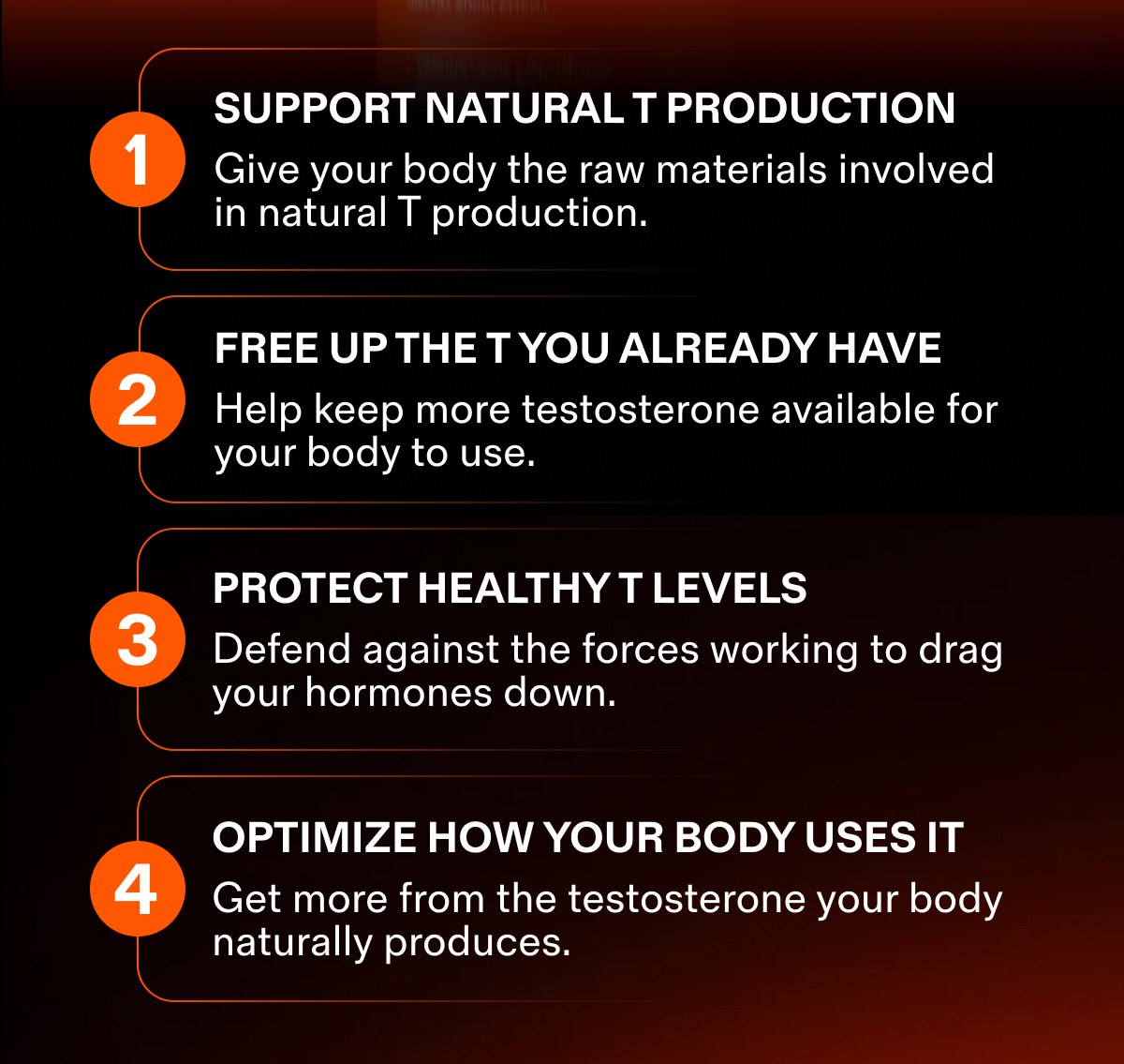 SUPPORT NATURAL T PRODUCTION