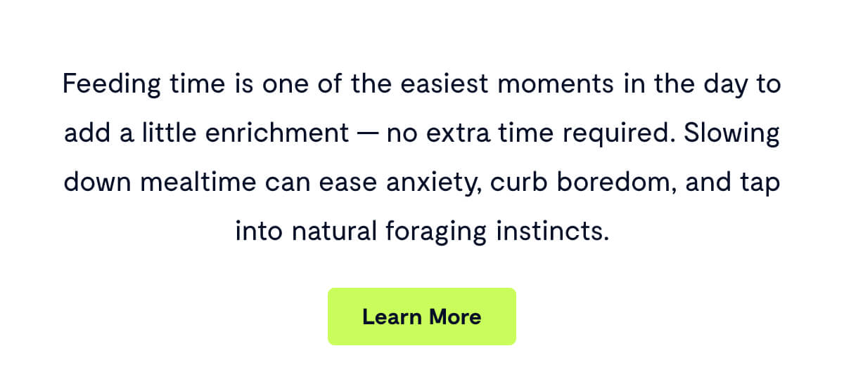 Feeding time is one of the easiest moments in the day to add a little enrichment &mdash; no extra time required. Slowing down mealtime can ease anxiety, curb boredom, and tap into natural foraging instincts.