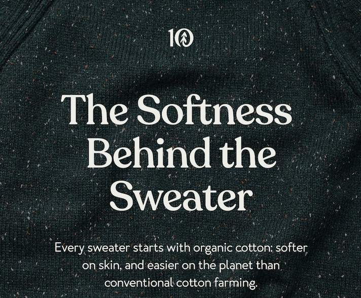 The Softness  Behind the Sweater