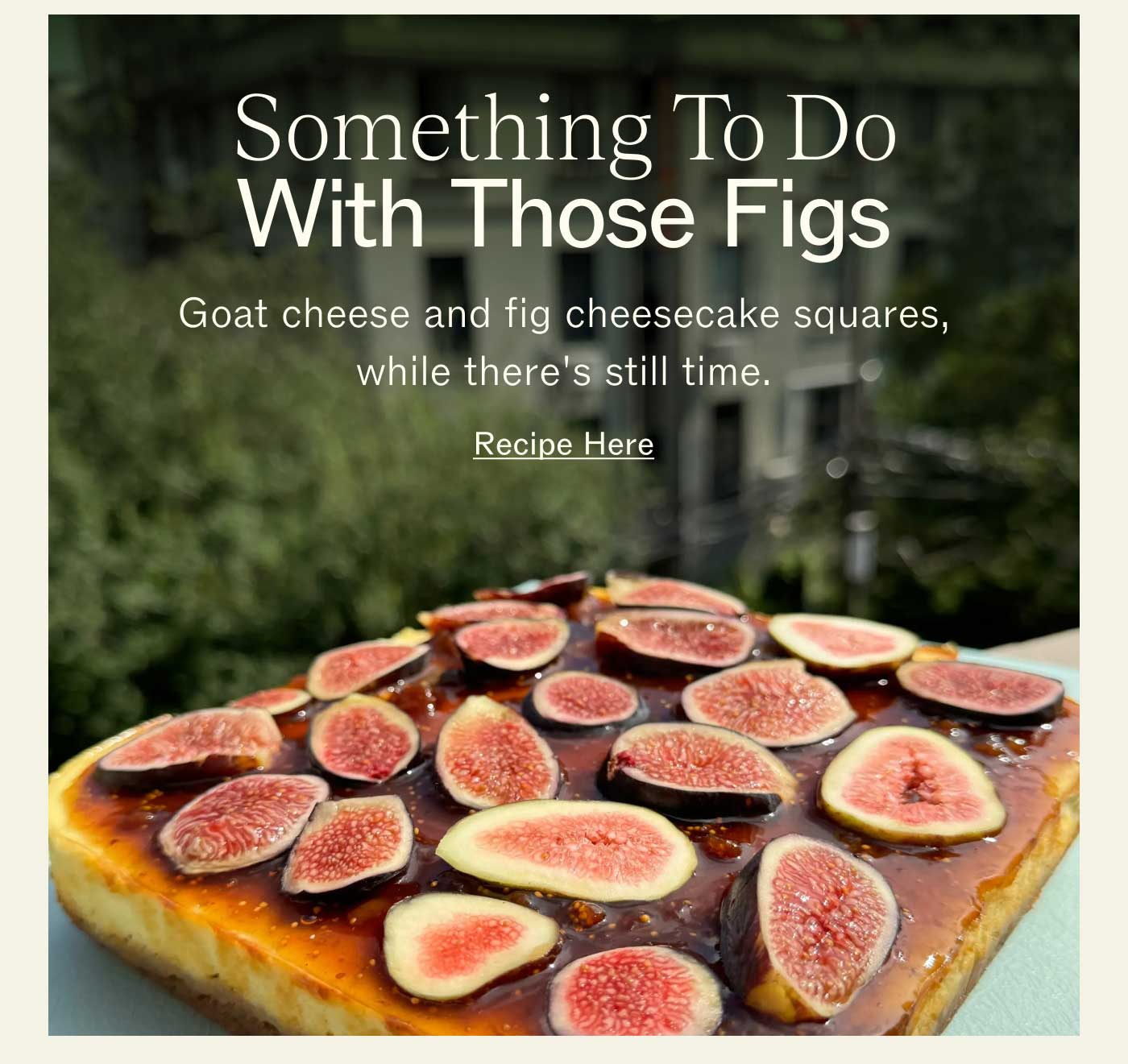 Something To Do With Those Figs Goat cheese and fig cheesecake squares, while there's still time. Recipe Here 