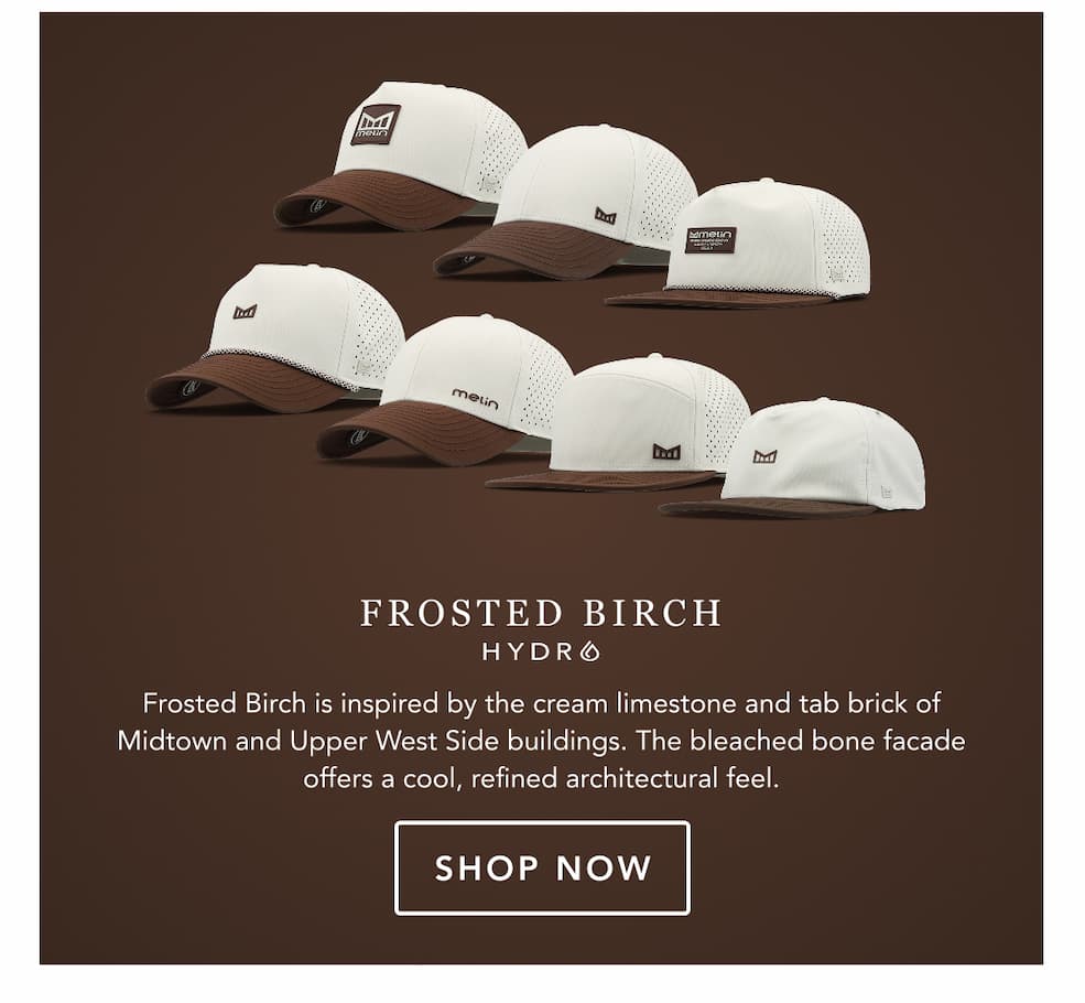 Shop Frosted Birch