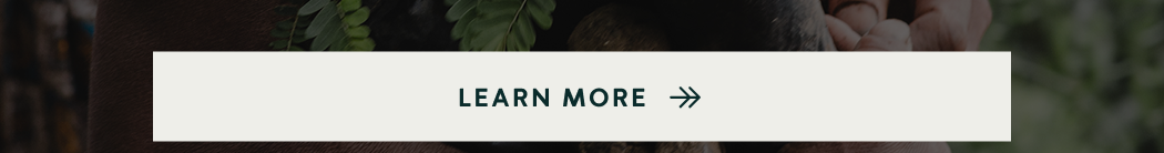 Learn More