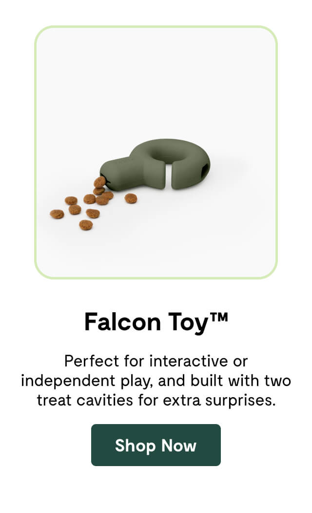 Falcon Toy&trade; 
