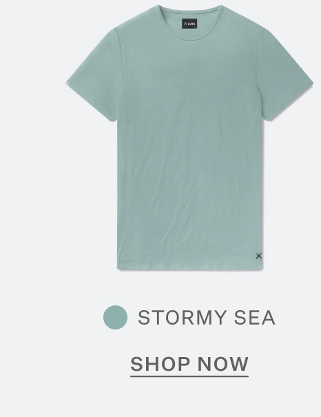 AO Forever Tee in Stormy Sea