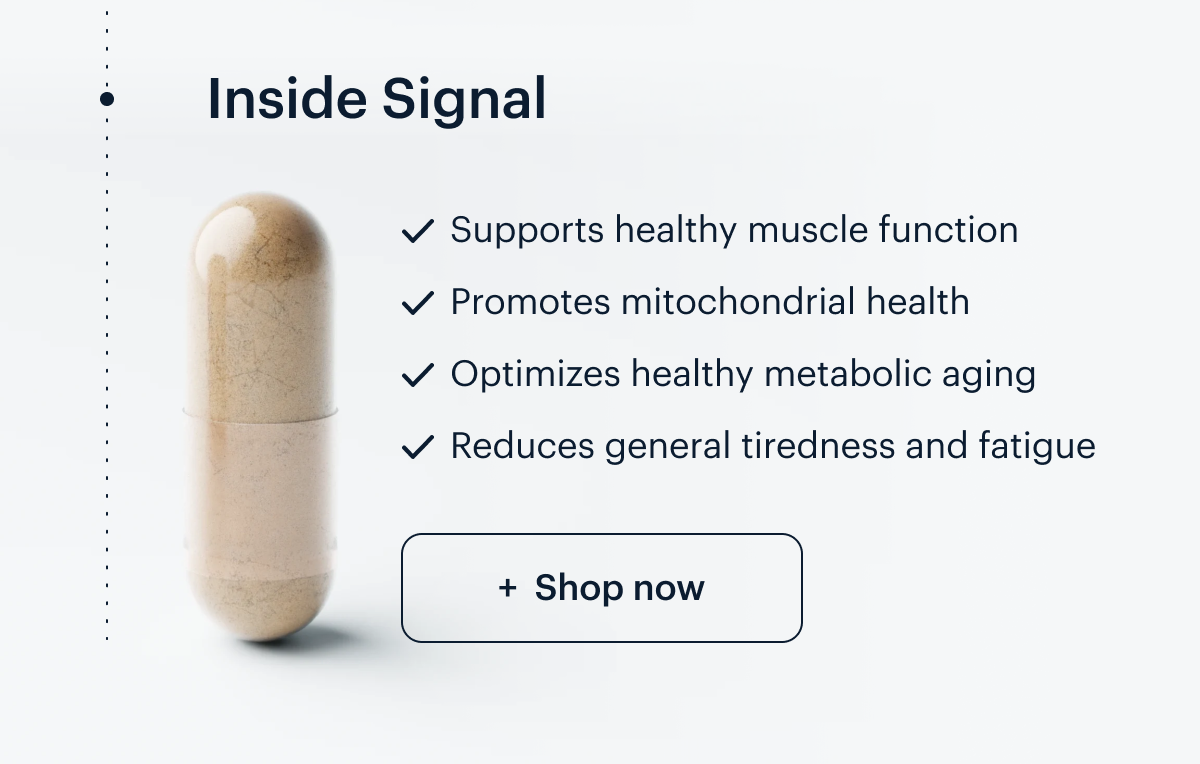 Inside Signal I Supports healthy muscle function I Promotes mitochondrial health I Optimizes healthy metabolic aging I Reduces general tiredness and fatigue I Shop now
