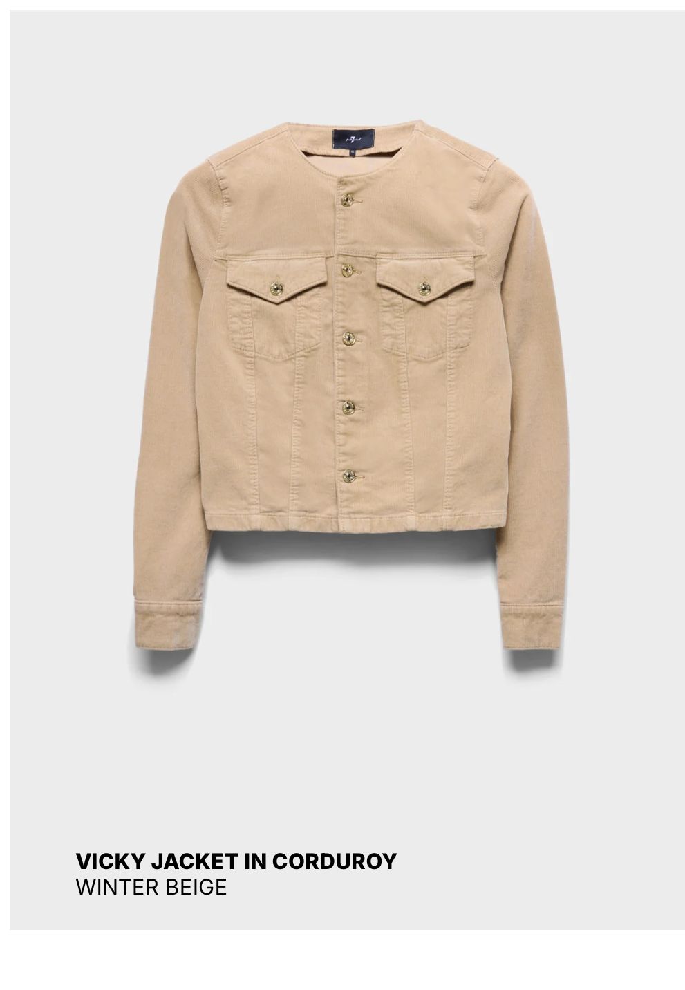 Shop Fall Layers
