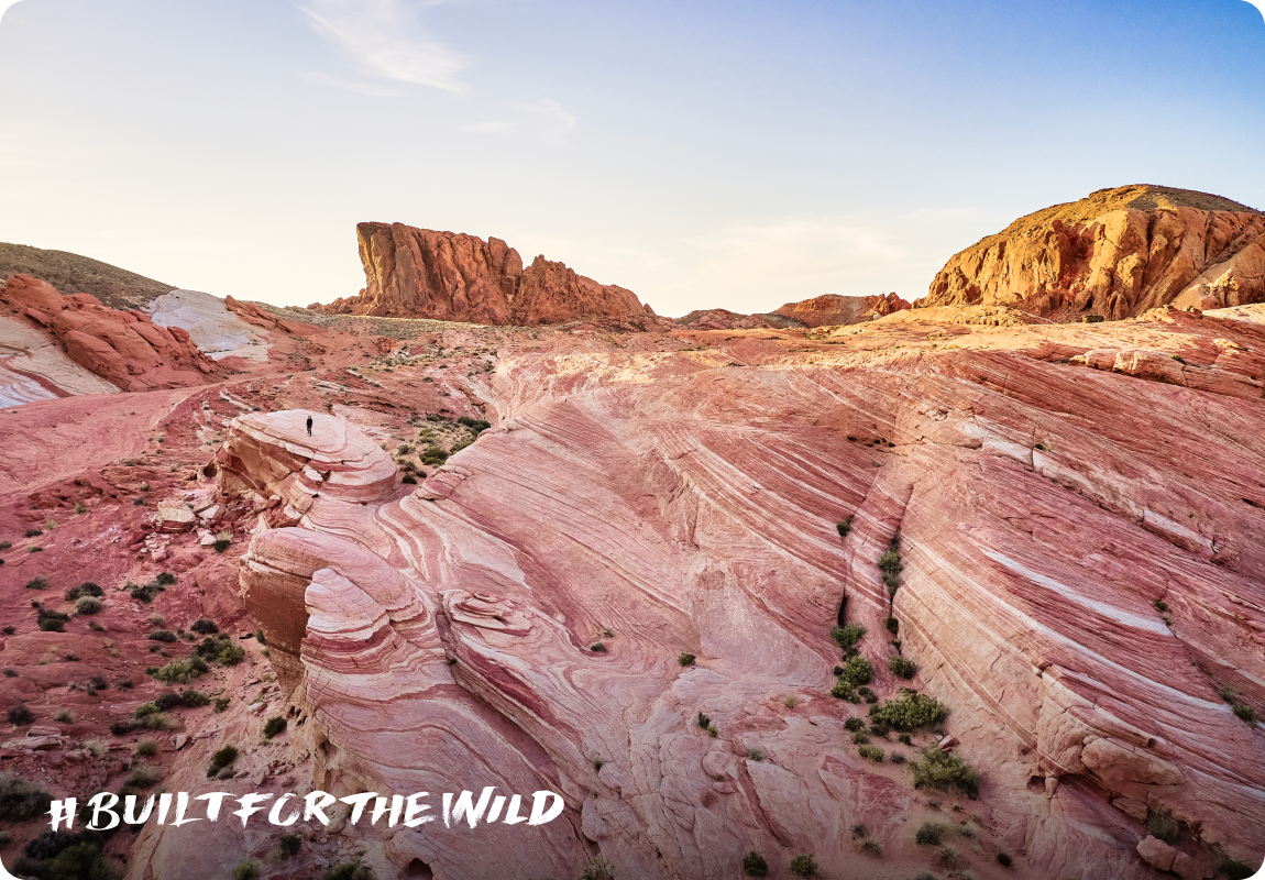 Built For The Wild