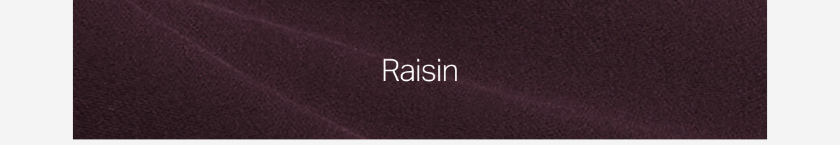 Raisin
