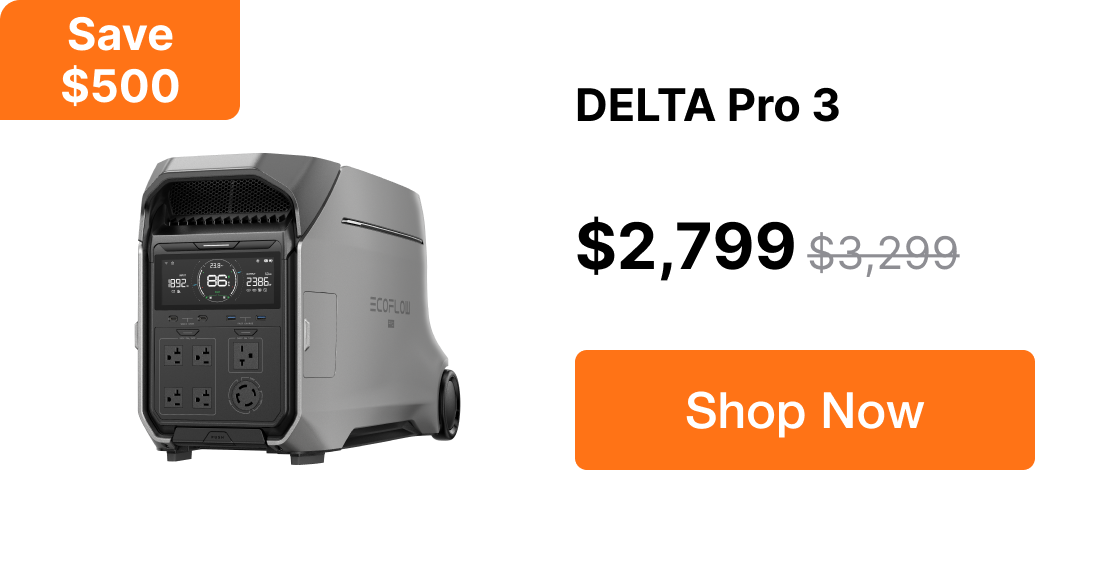 DP3