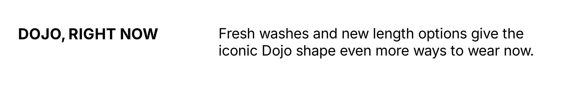 Shop Dojo