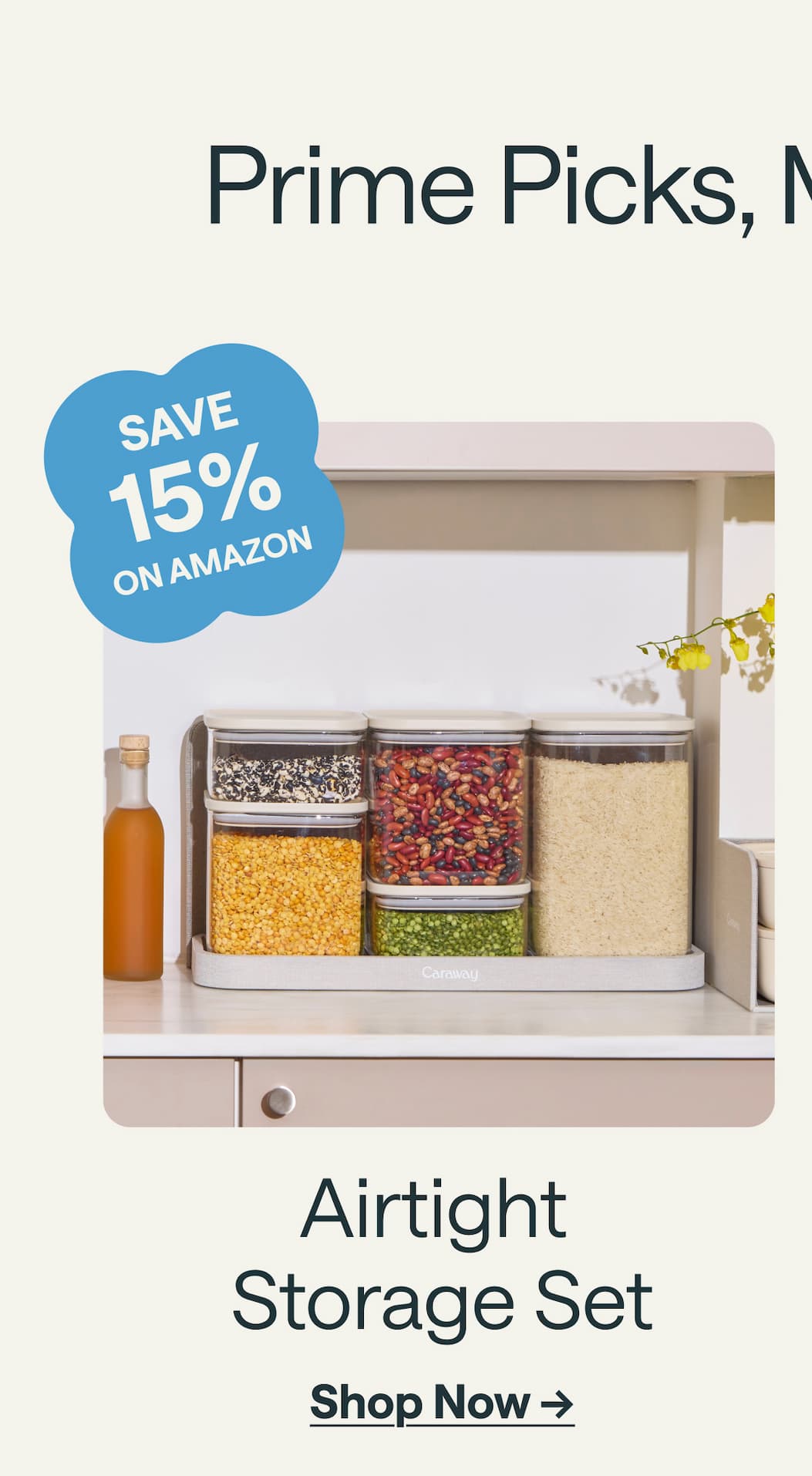 SAVE 15% ON AMAZON Airtight  Storage Set Shop Now &rarr;