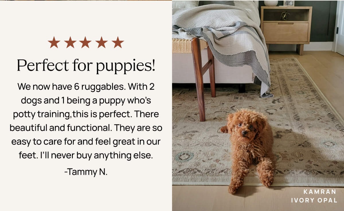 Kaman Ivory Opal - "Perfect for puppies!"