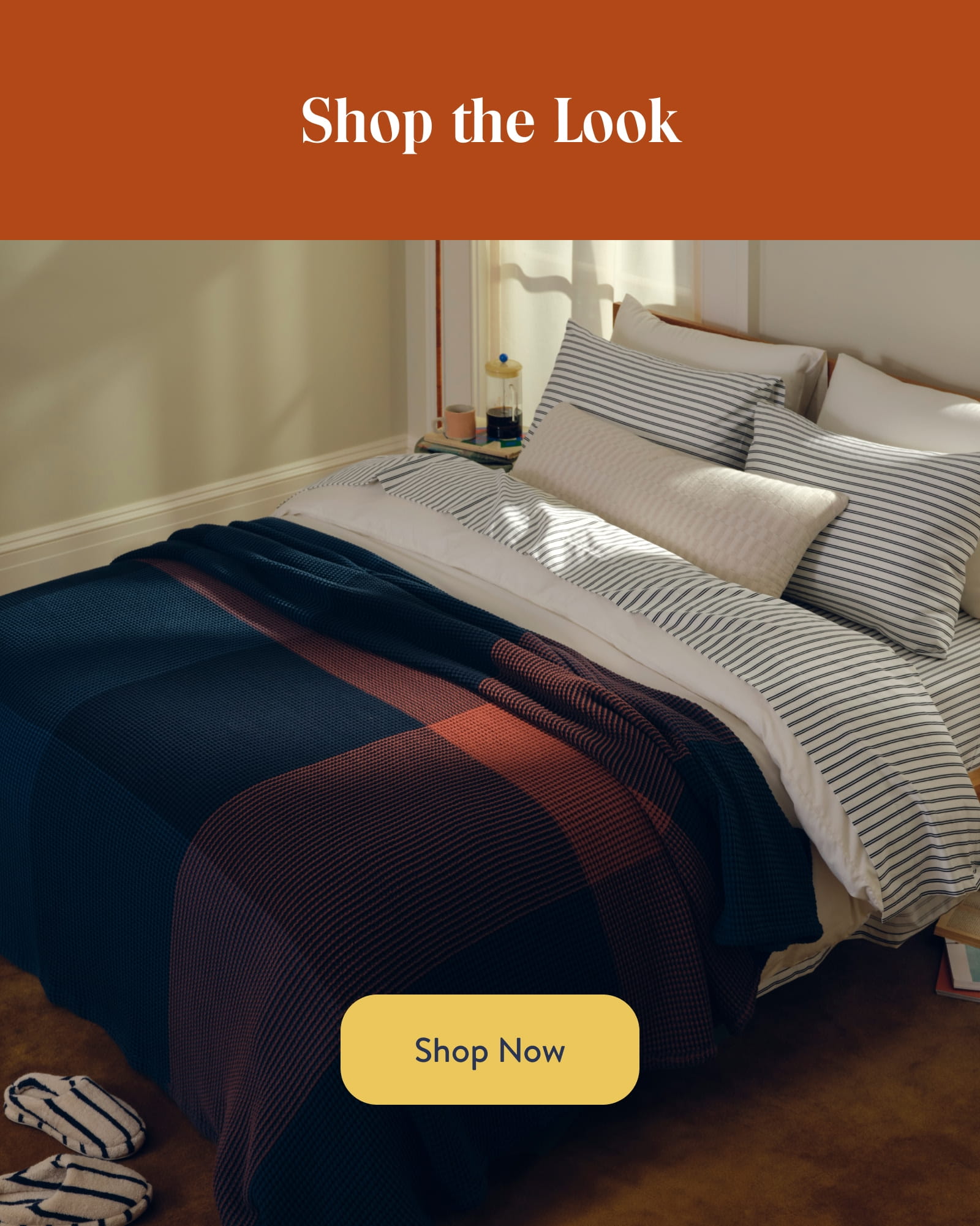 Shop Now