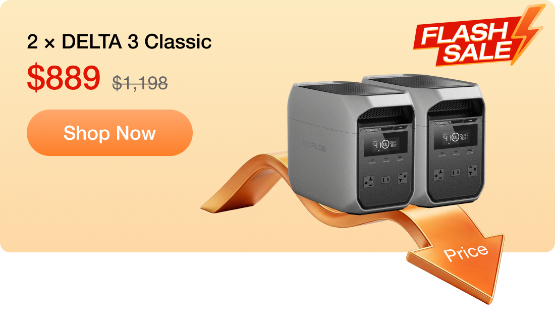 2 &times; DELTA 3 Classic