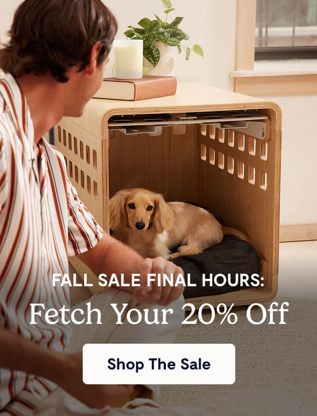 FALL SALE Final Hours: fetch Your 20% Off