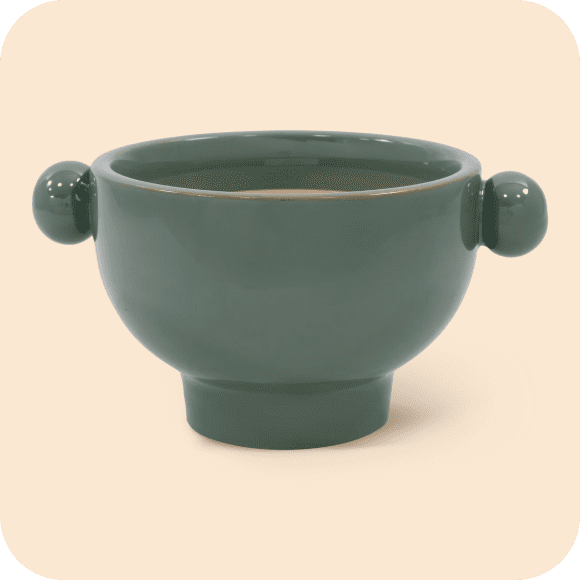 Patio & garden