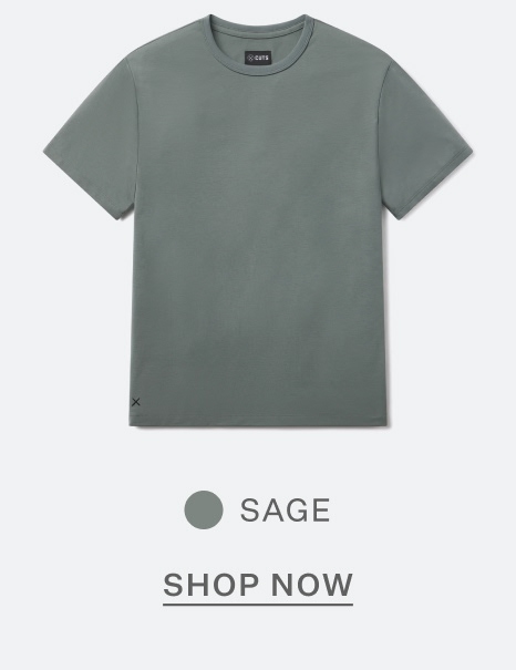 AO Forever Tee in Sage