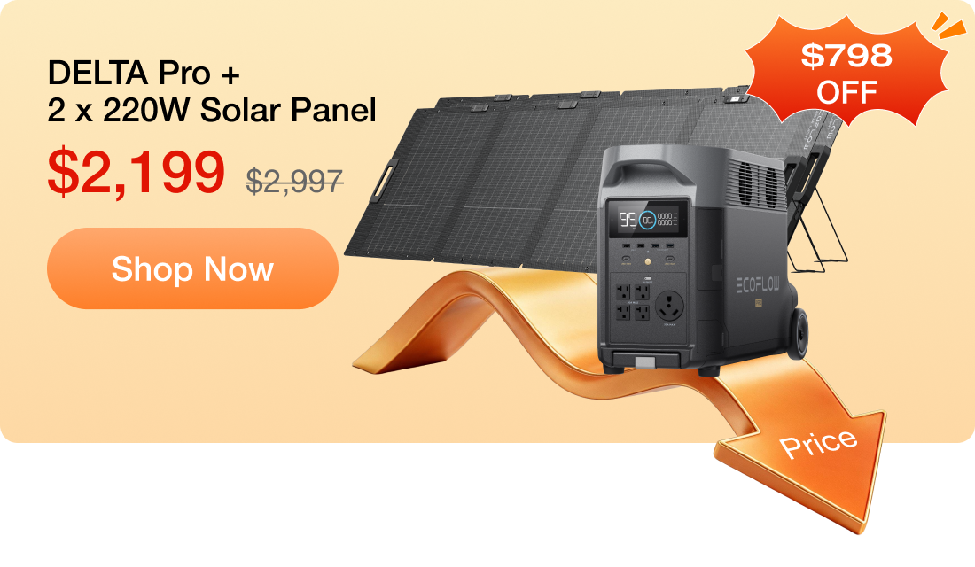 DELTA Pro + 2 x 220W Solar Panel