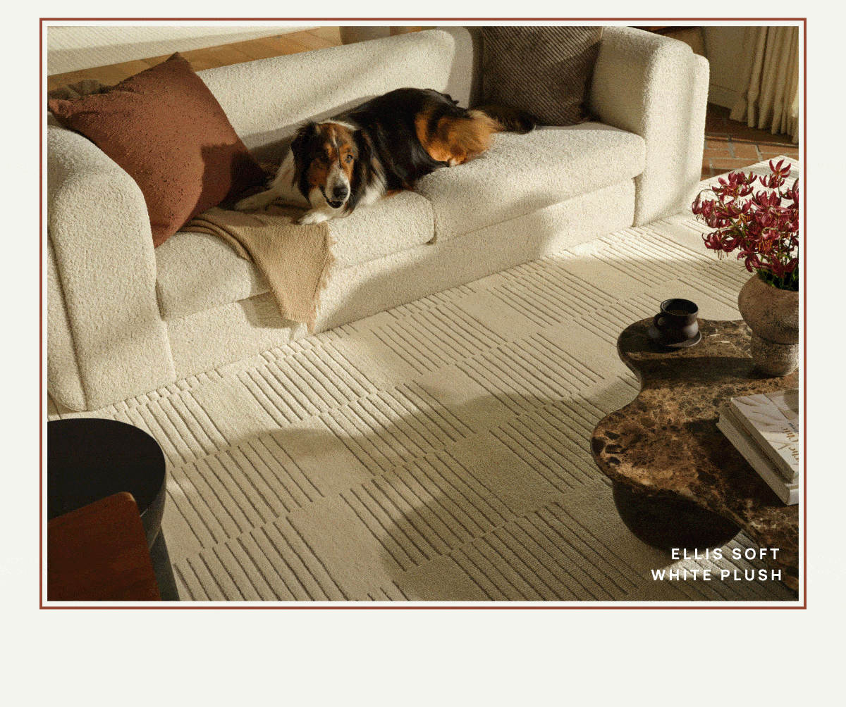Rug Gif | 10% Off Ends Soon 