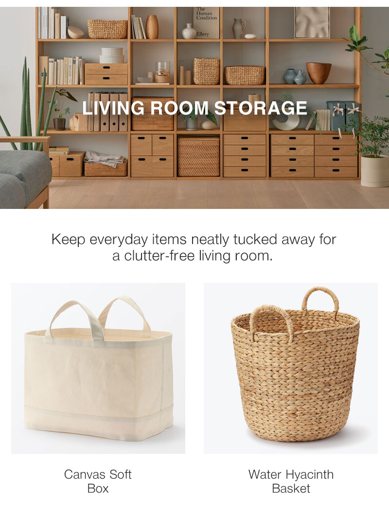 Shop Living Room Storage