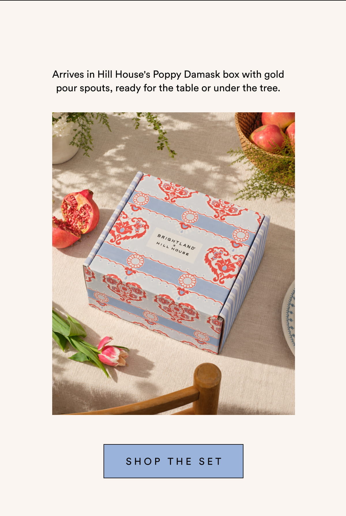 SHOP THE SET