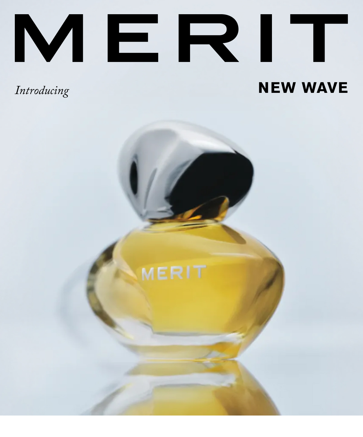 MERIT 