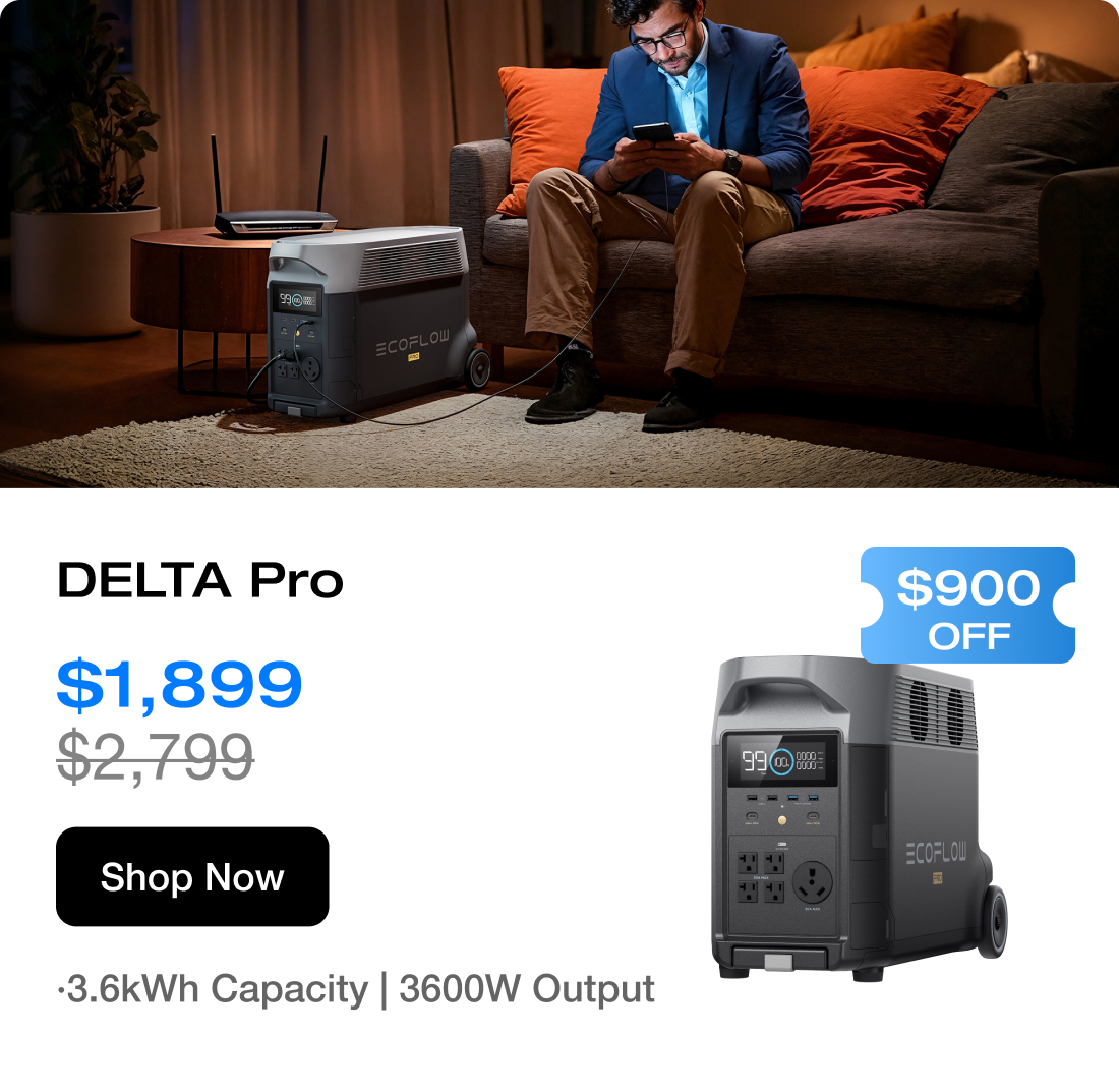 DELTA Pro 3