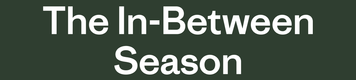 The In-Between Season 