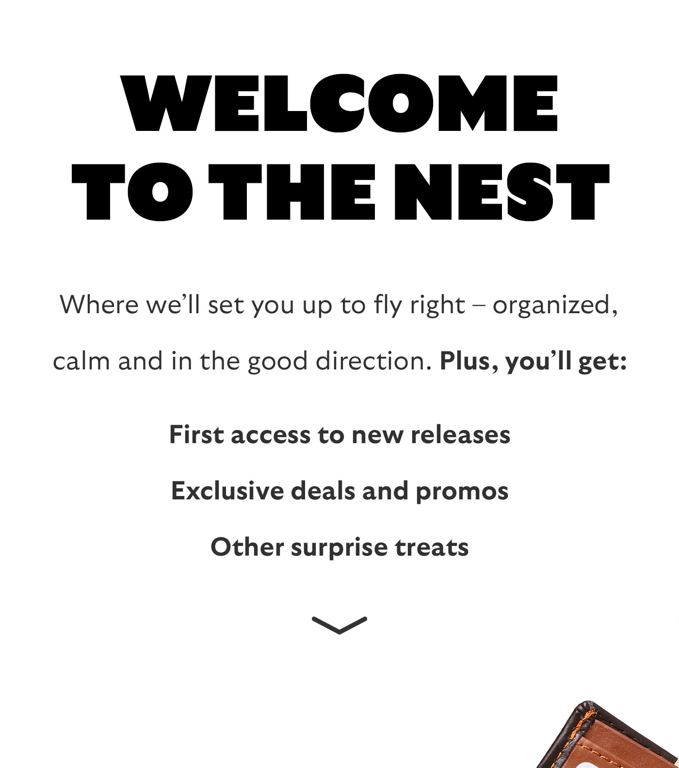 Welcome to the nest. Where we&rsquo;ll set you up to fly right &ndash; organized, calm and in the good direction. Plus, you&rsquo;ll get: First access to new releases Exclusive deals and promos Other surprise treats