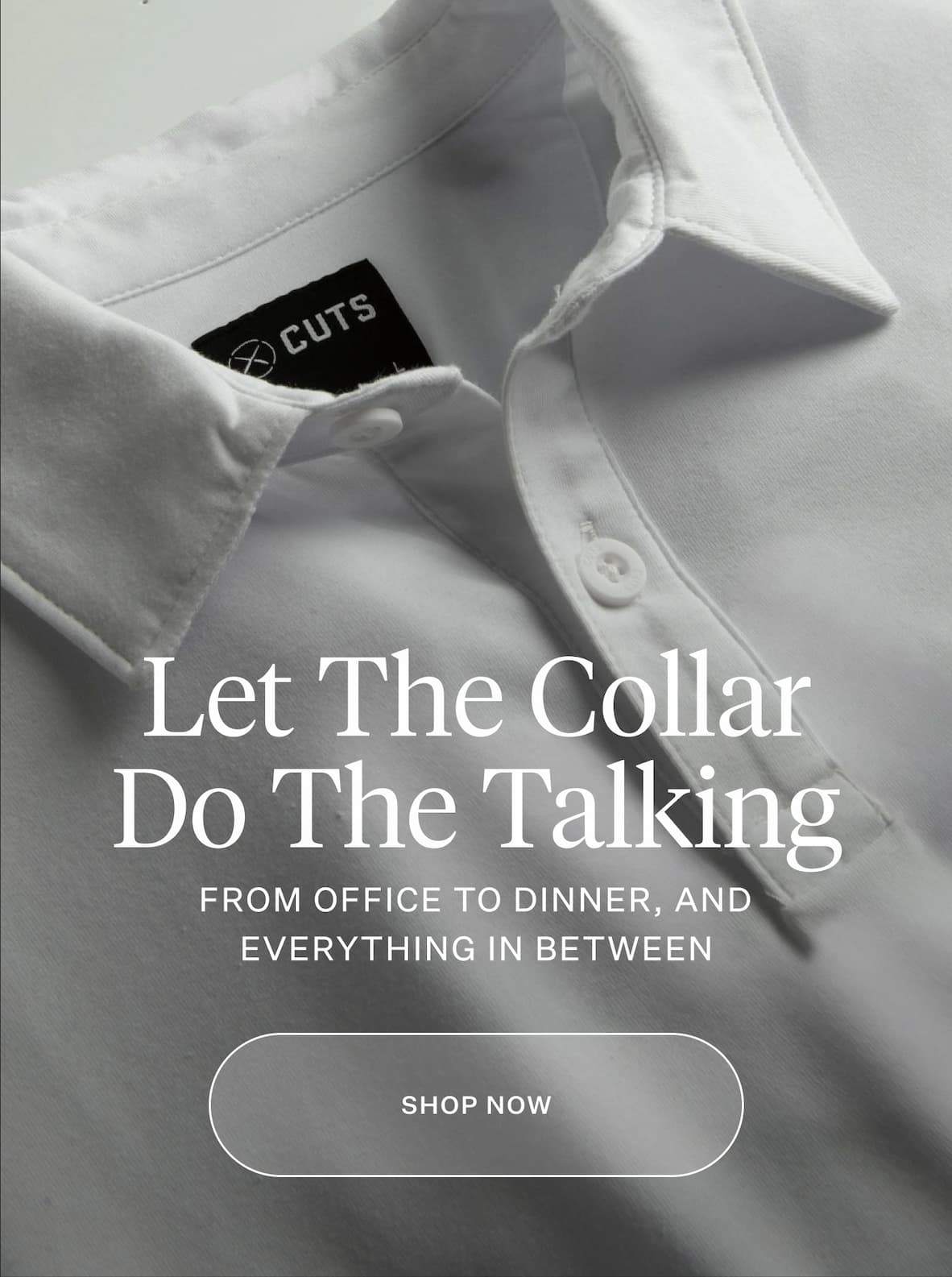 Let The Collar Do The Talking
