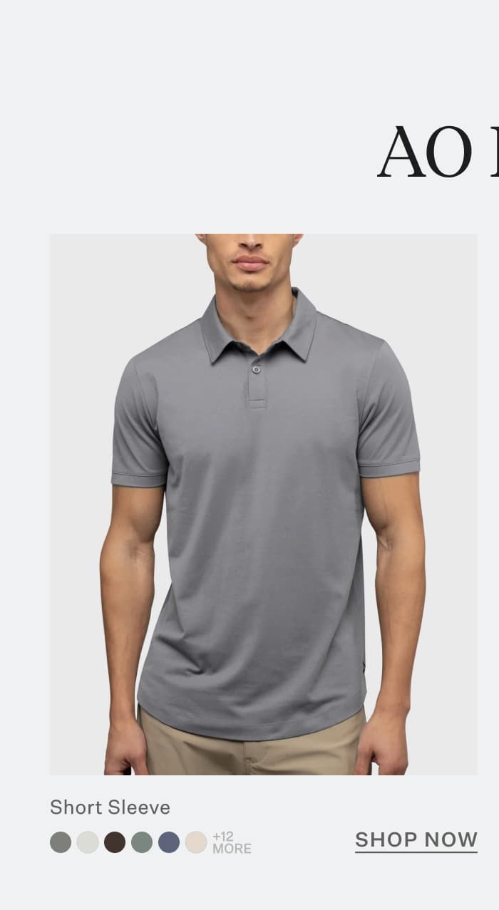 AO Polo
