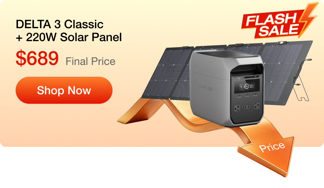 DELTA 3 Classic + 220W Solar Panel