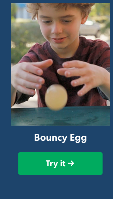 Bouncy egg. Try it!