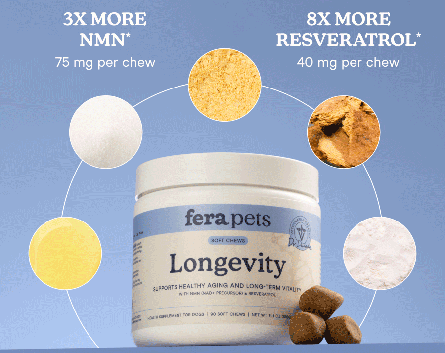 Longevity Soft Chews were formulated to deliver more than a list of trending ingredients. We focused on meaningful amounts of key actives, backed by veterinary expertise and rigorous quality standards.
