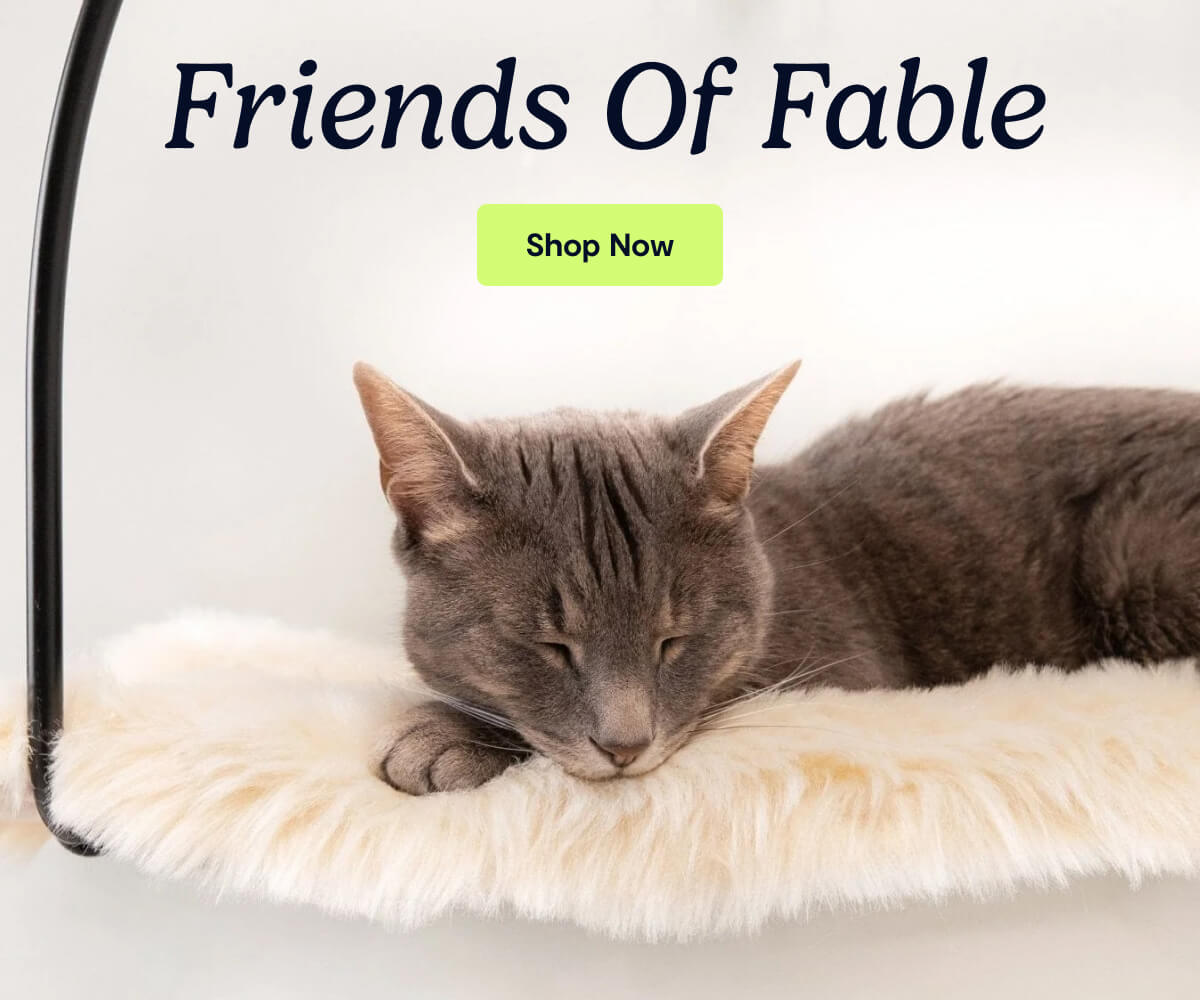 Friends of Fable