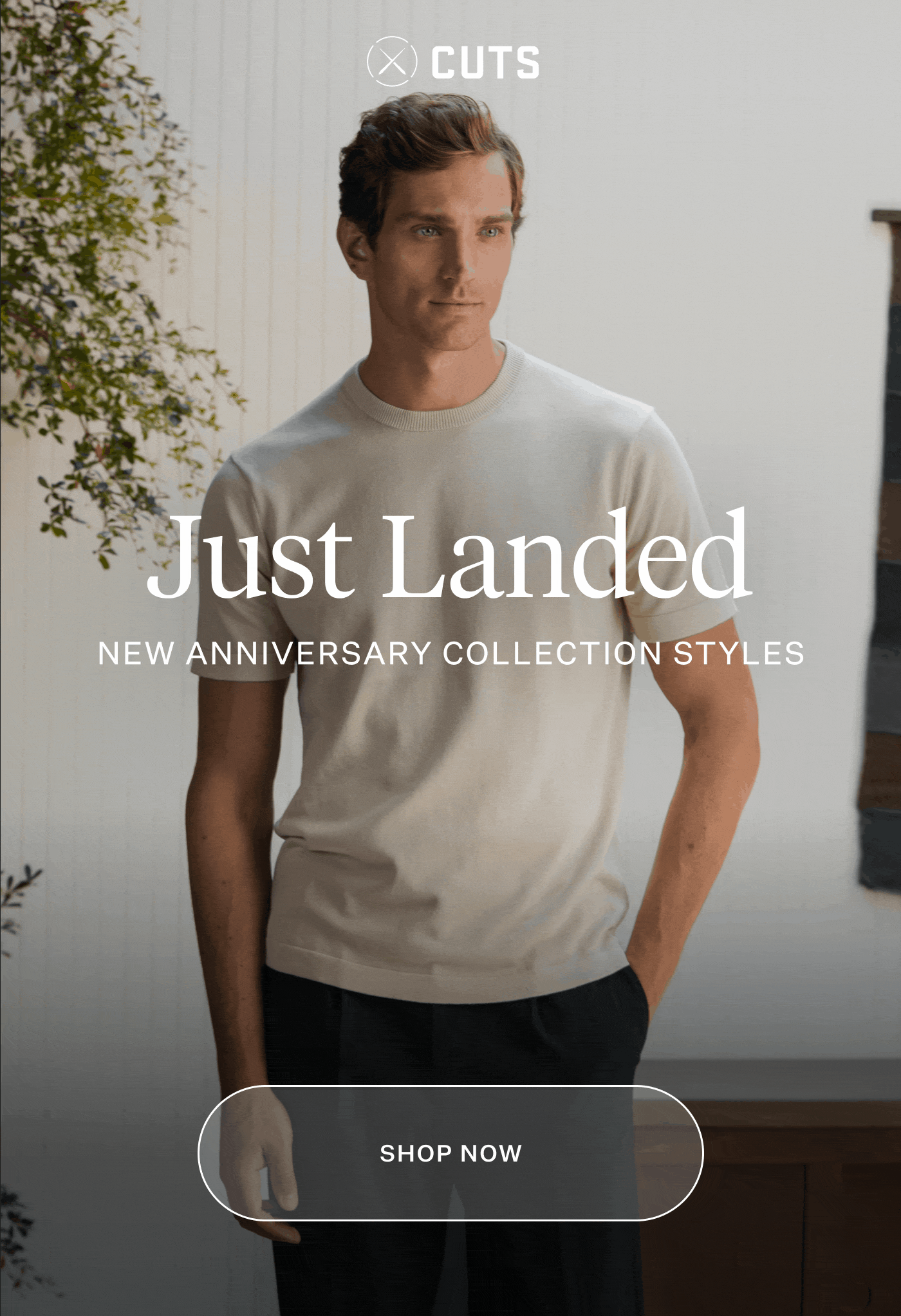 Just Landed - New Anniversary Collection Styles