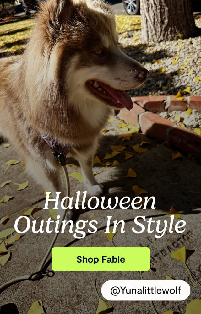 Halloween Outings In Style. Shop Fable. @Yunalittlewolf