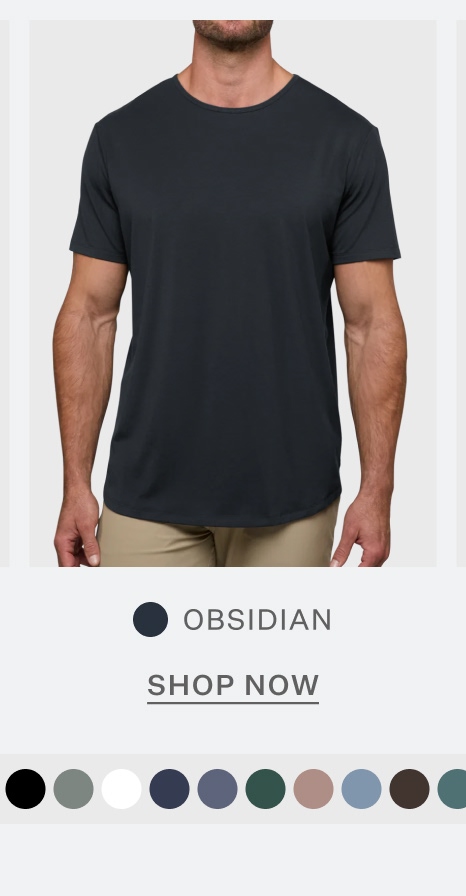 AO Curve-Hem Tee in Obsidian