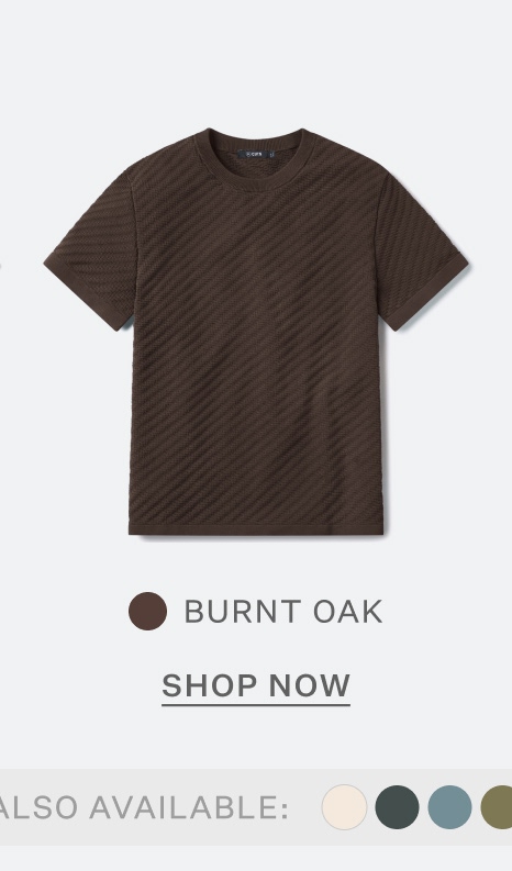 Riviera Knit Textured Tee in Burnt Oak
